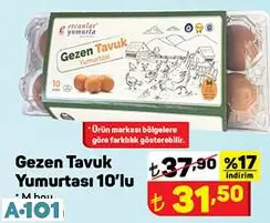 GEZEN TAVUK YUMURTASI